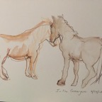 IMG_4044.jpg