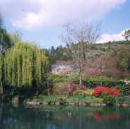 file02.jpg