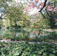file05.jpg
