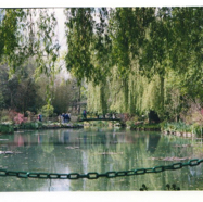 file08.jpg