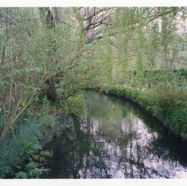 file09.jpg