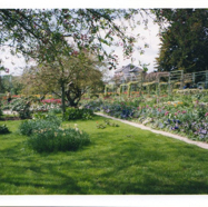 file11.jpg
