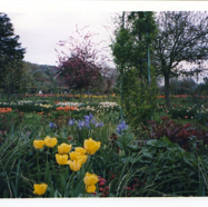 file12.jpg