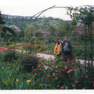 file14.jpg