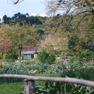 file19.jpg