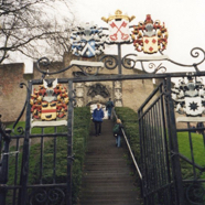 file50.jpg