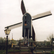 file51.jpg
