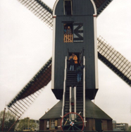file53.jpg