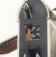 file54.jpg