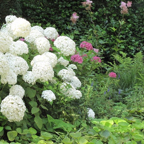 12-06-27-13-25-50-3.jpg