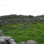 IMG_1323.jpg