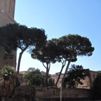IMG_1576.jpg