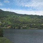 IMG_2424.jpg