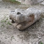 IMG_0637.jpg