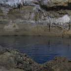 IMG_0767.jpg