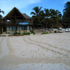 IMG_0139.jpg
