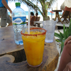 IMG_0762.jpg