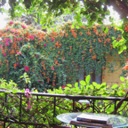 IMG_0004 (1).jpeg