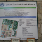 IMG_0039.jpeg