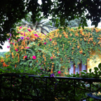 IMG_0324.jpeg