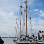 IMG_0001_15.jpg
