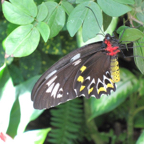 IMG_0045_4.jpg