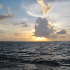 5A58EA11-FA49-4009-AC21-91D3E7D3BB8D_1_105_c.jpeg