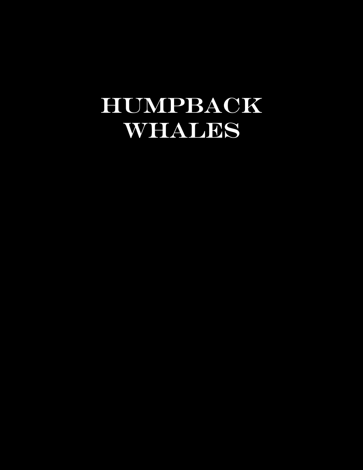Humpback Whale watching, Samana Bay, DR.mp4